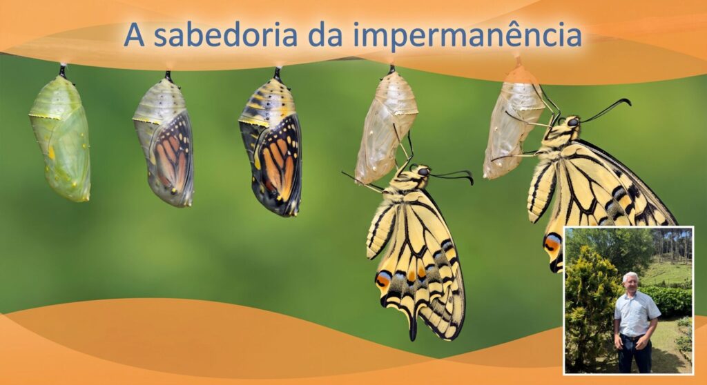 A IMPERMANÊNCIA DE TODAS AS COISAS: O que passa, o que permanece e a sabedoria do ciclo