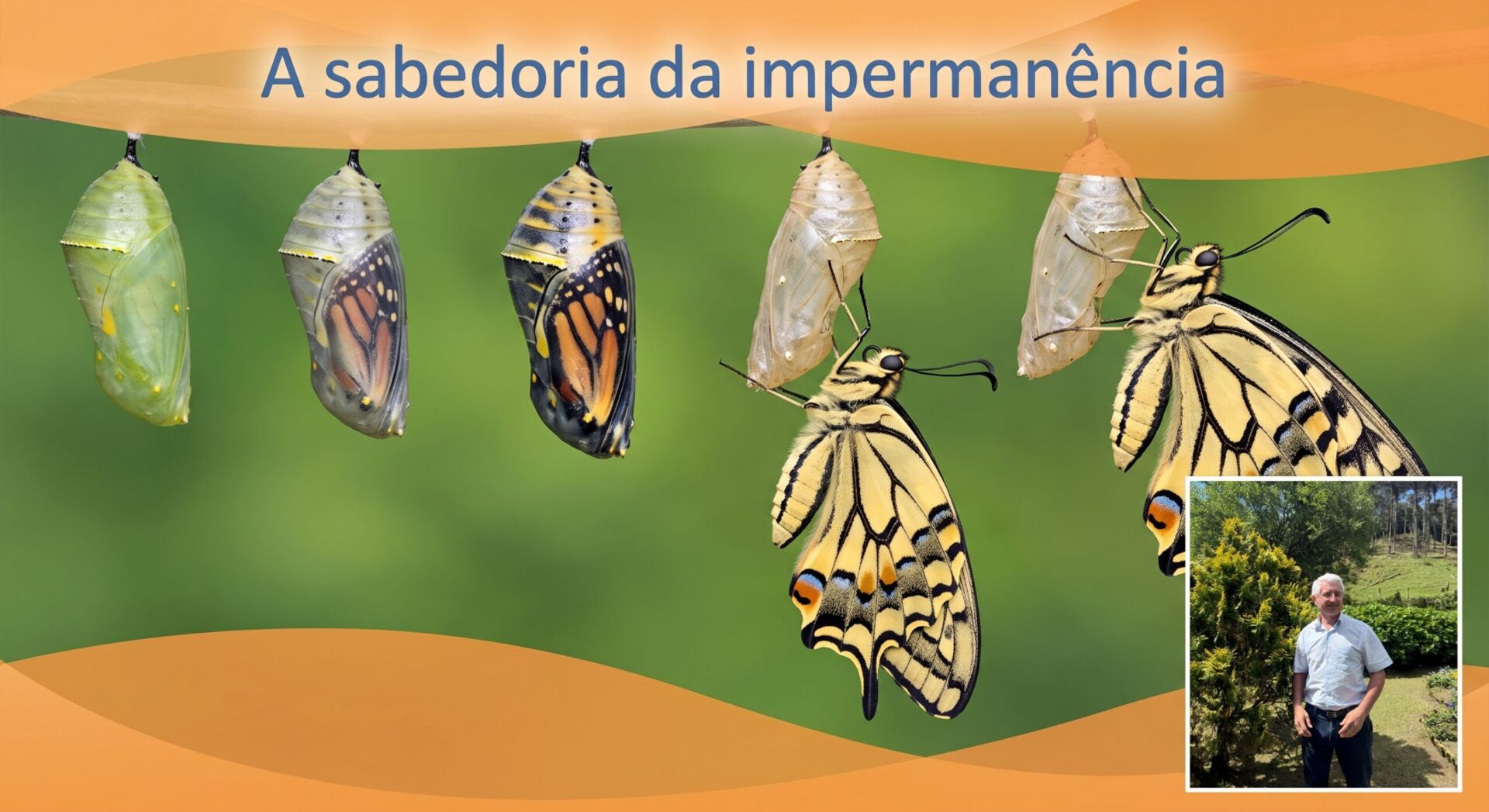 A IMPERMANÊNCIA DE TODAS AS COISAS: O que passa, o que permanece e a sabedoria do ciclo