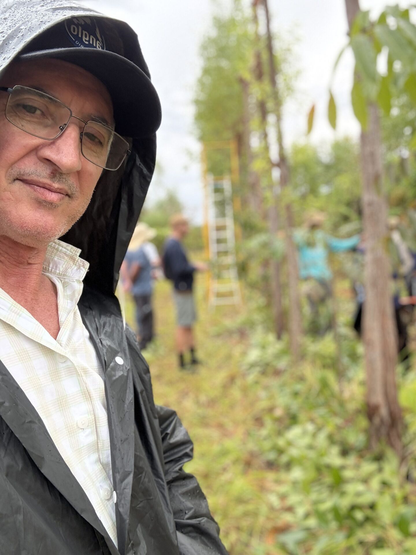 AGRICULTURA SINTRÓPICA: A terra ensina em silêncio o que os livros só podem descrever. Sete Caminhos para Ouvir a Terra e a Alma